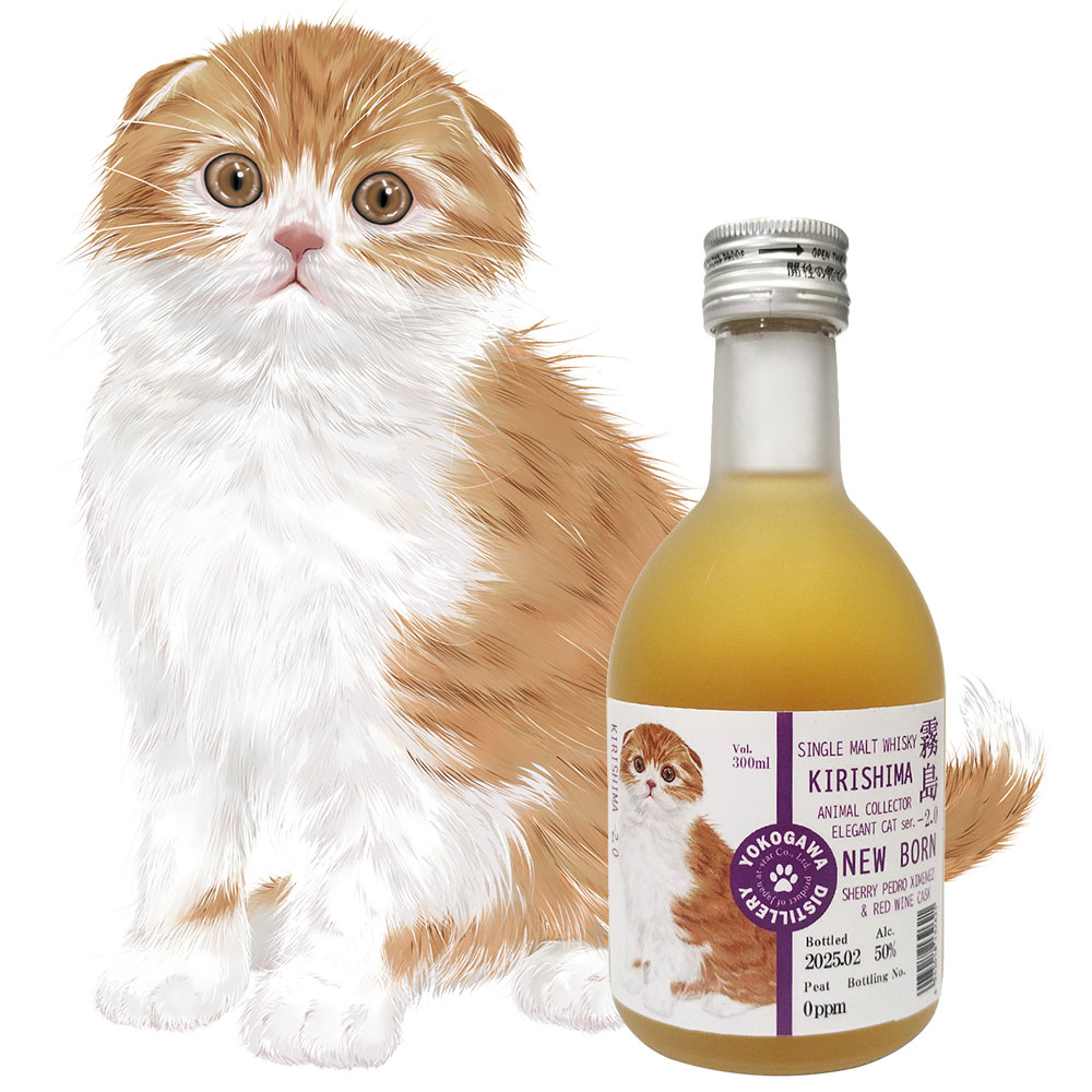 ELEGANT CAT 2025 XReBbVtH[h