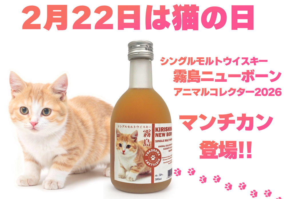 霧島ニューボーン